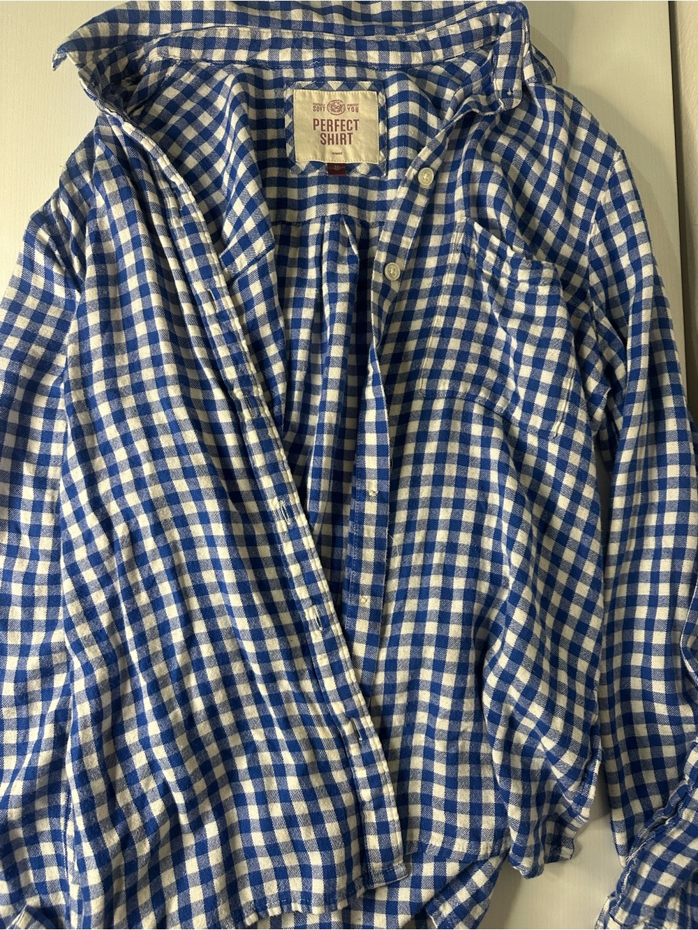 Women's Blue & White Gingham Button-Down Shirt